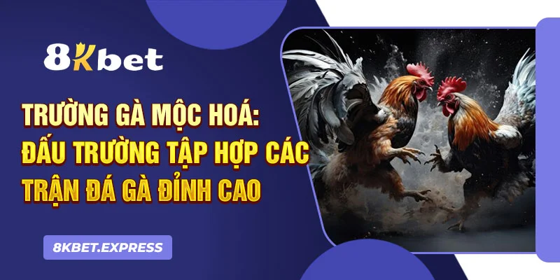 trường gà mộc hóa 8kbet