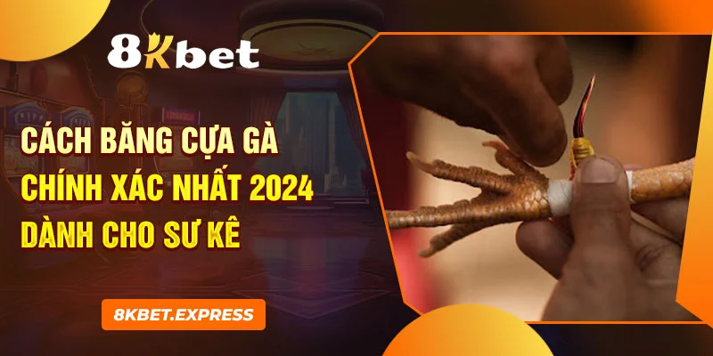 cách băng cựa gà 8kbet