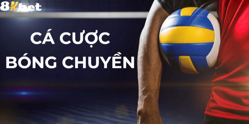 Cá cược bóng chuyền