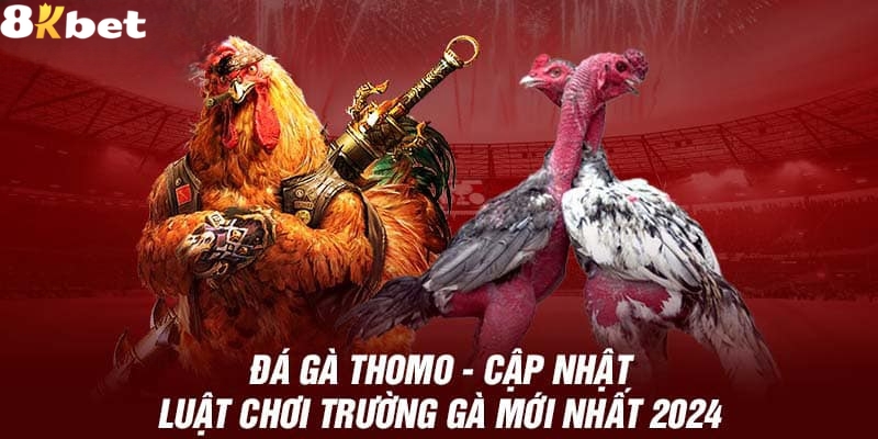 Luật đá gà Thomo